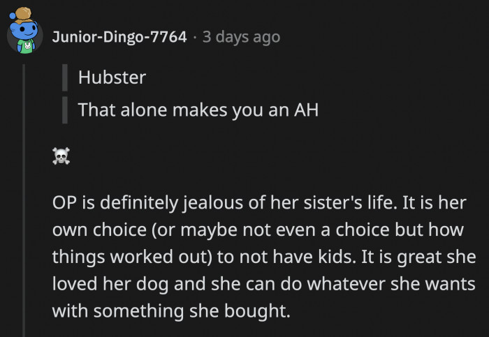 It Does Look Like OP Is Envious of Her Sister's Life, Which Seems So Full Compared to OP's