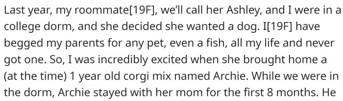 OP and Her Roommate Were Very Excited to Get a Dog. OP Couldn't Have One as a Kid, and It Was Her Greatest Wish.