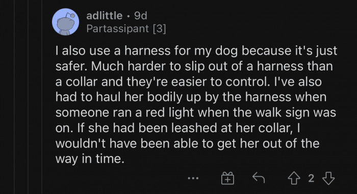 Other people shared the previous user's opinion about only using a harness.
