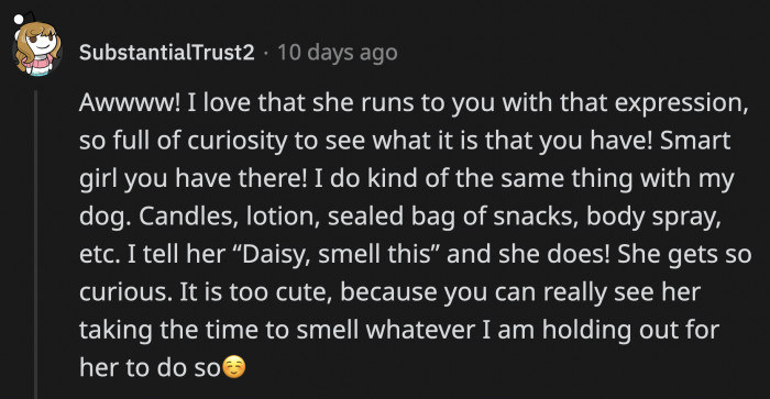 It's okay to indulge a dog's curiosity from time to time