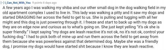 It's not just about the dog being friendly; it's also about how the other dogs would react.