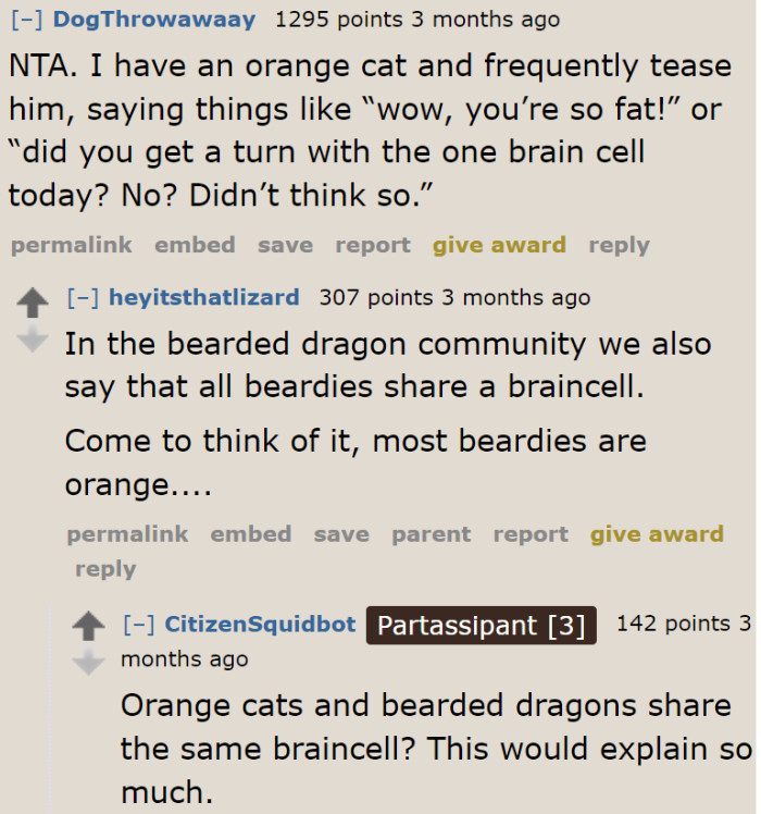 Well, it looks like orange cats and bearded dragons have something in common.