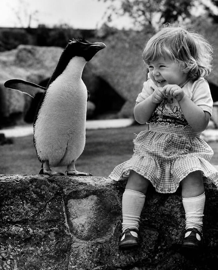 "Nothing cooler than meeting a penguin for the first time, 1950s."