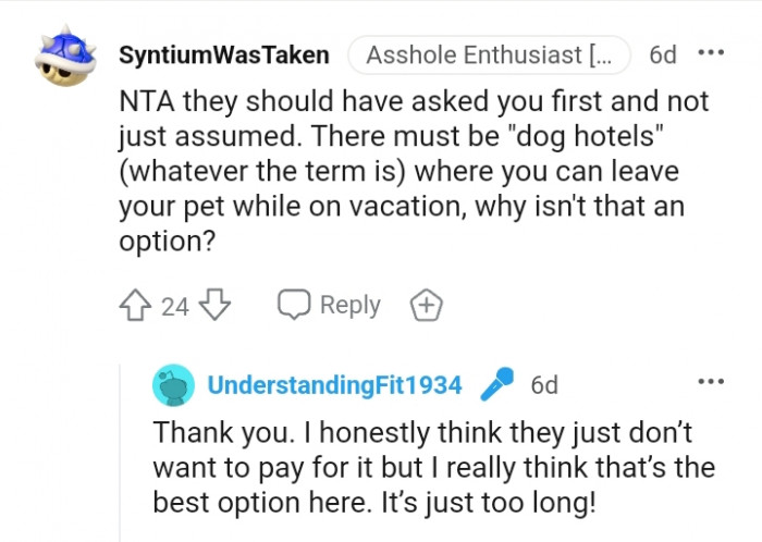 Dog hotels is where you can leave your dogs