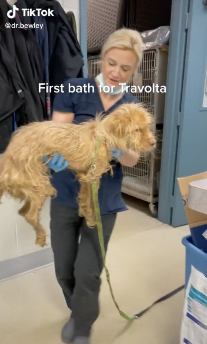 Dr. Bewley personally gave Travolta a bath