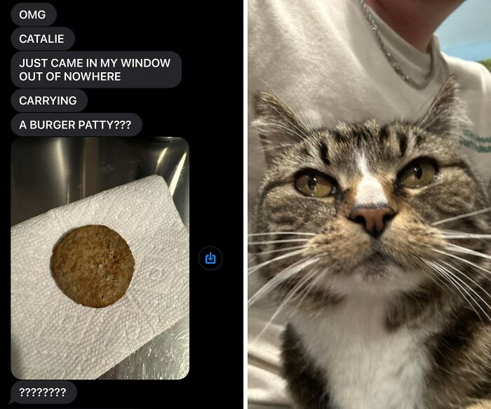 39. She didn’t steal it. She liberated it.