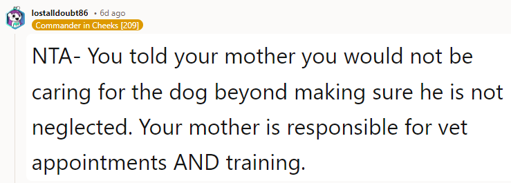 NTA - You Told Your Mother You Would Not Be Caring for the Dog Beyond Making Sure He Is Not Neglected