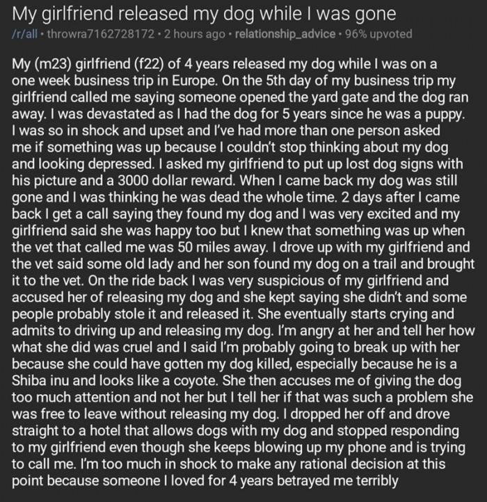 This OP took to the Reddit community to share how his girlfriend released his dog while he was away for a business trip