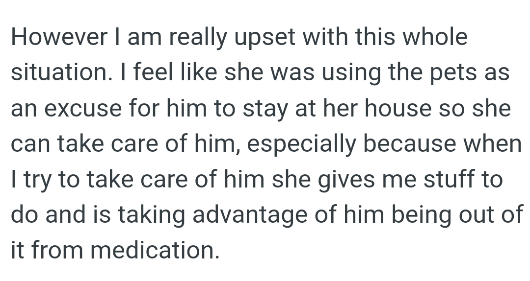 OP feels like her MIL was using the pets as an excuse