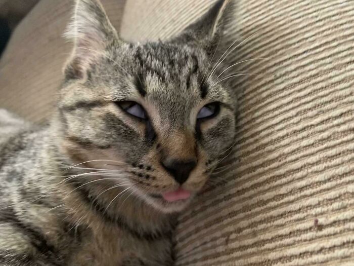 35. Shhhhh... he's sleeping.