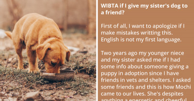 Redditor Intends To Give Her Sister’s Neglected And Abused Dog To A Friend, Seeks Advice Online