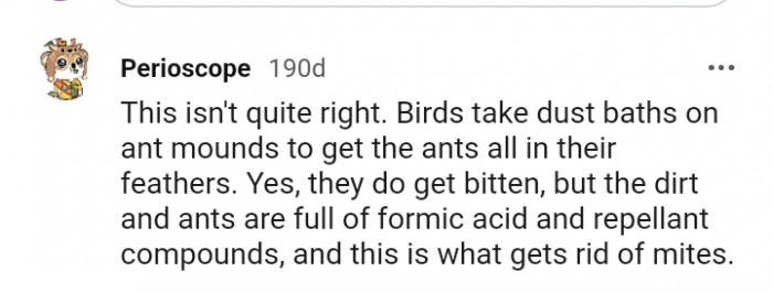 The dirt and ants are full of formic acid and repellent compounds