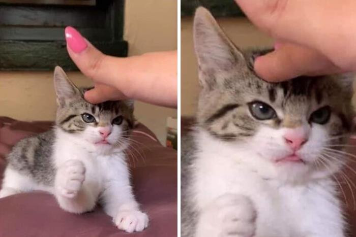 4. Revenge WILL come