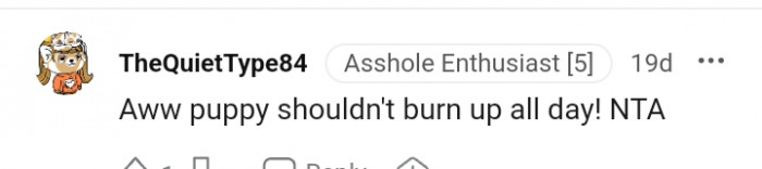 16. The puppy shouldn't burn up all day long