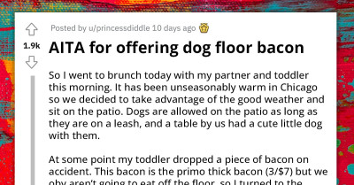 Redditor Asks If It Was Insulting To Offer Nice Floor Bacon To A Dog - Because Its Owner Thinks So