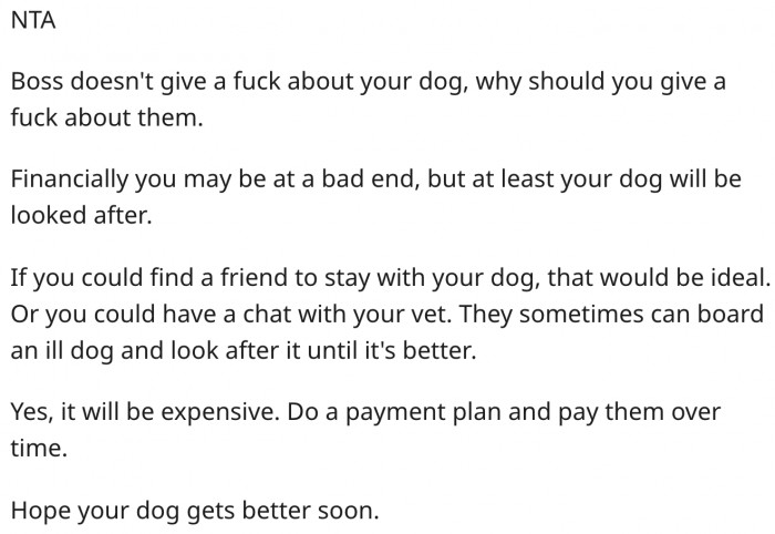3. She shouldn't care about her job because her boss doesn't care about her dog.
