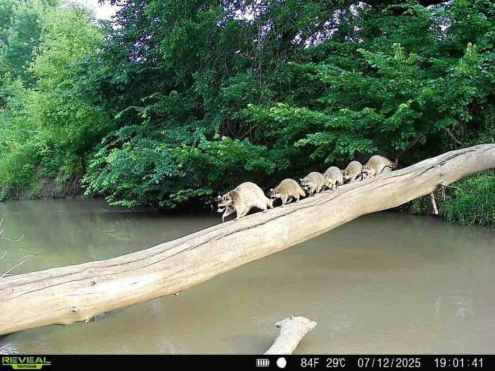 35. One Awesome Picture