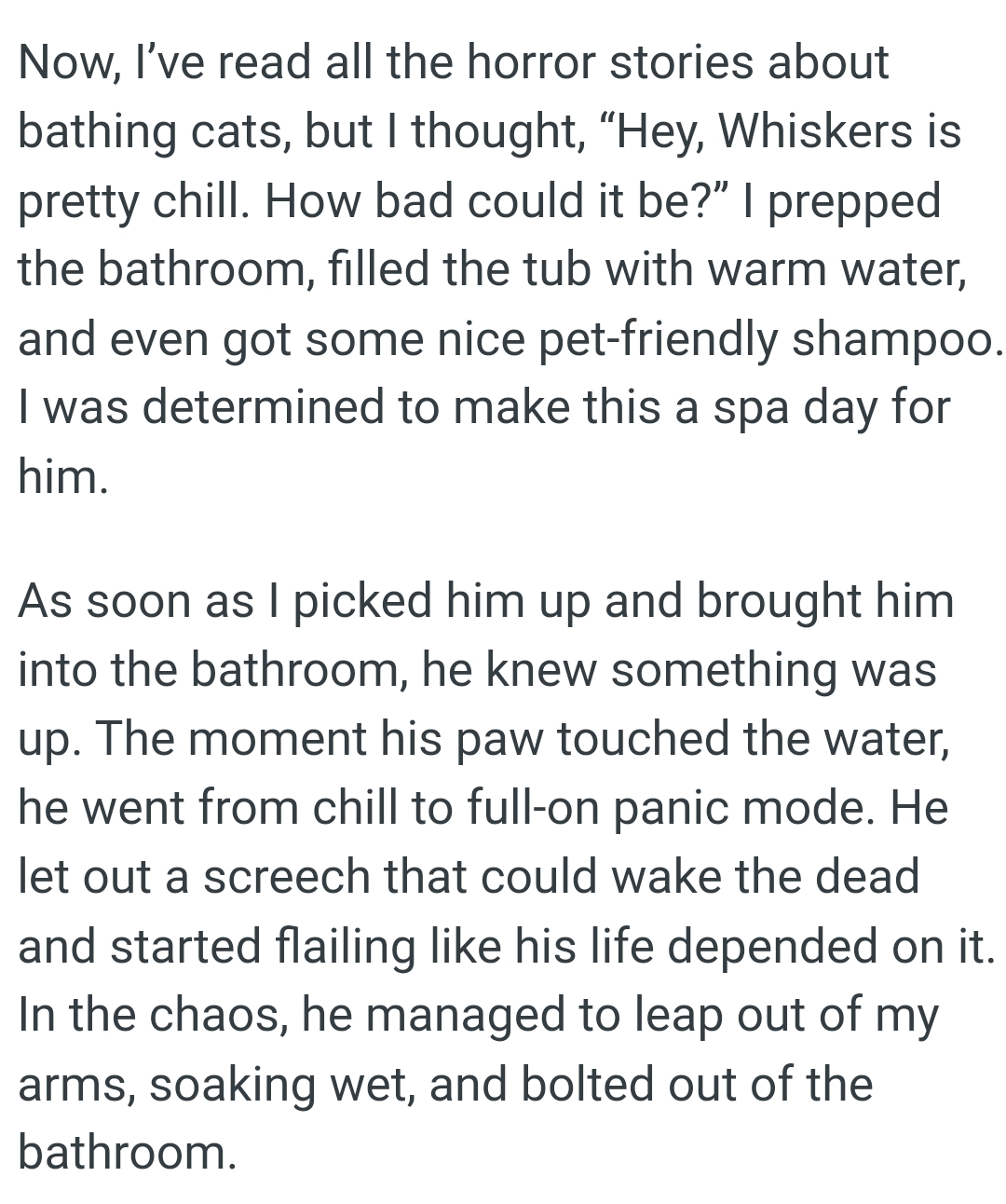 OP filled the tub with warm water, and even got some nice pet-friendly shampoo