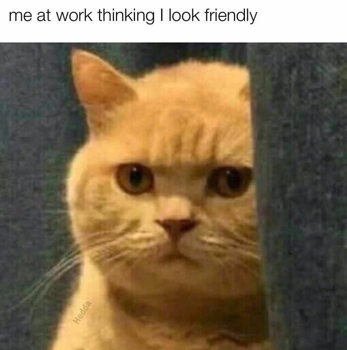 24. No you don't
