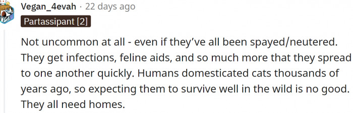 All cats need homes.