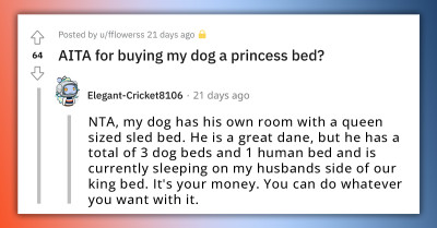 Dog Owner Gets Shamed For Being "Selfish" After Trying To Buy A Princess Bed For Her Pup From A Seller On An Online Marketplace