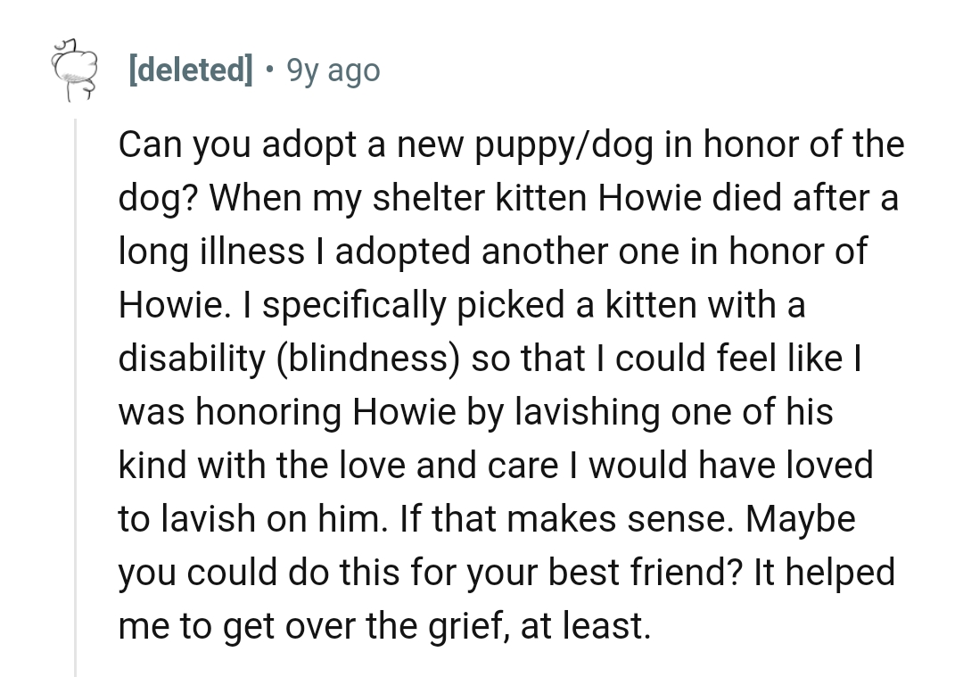 This Redditor specifically picked a kitten with a disability