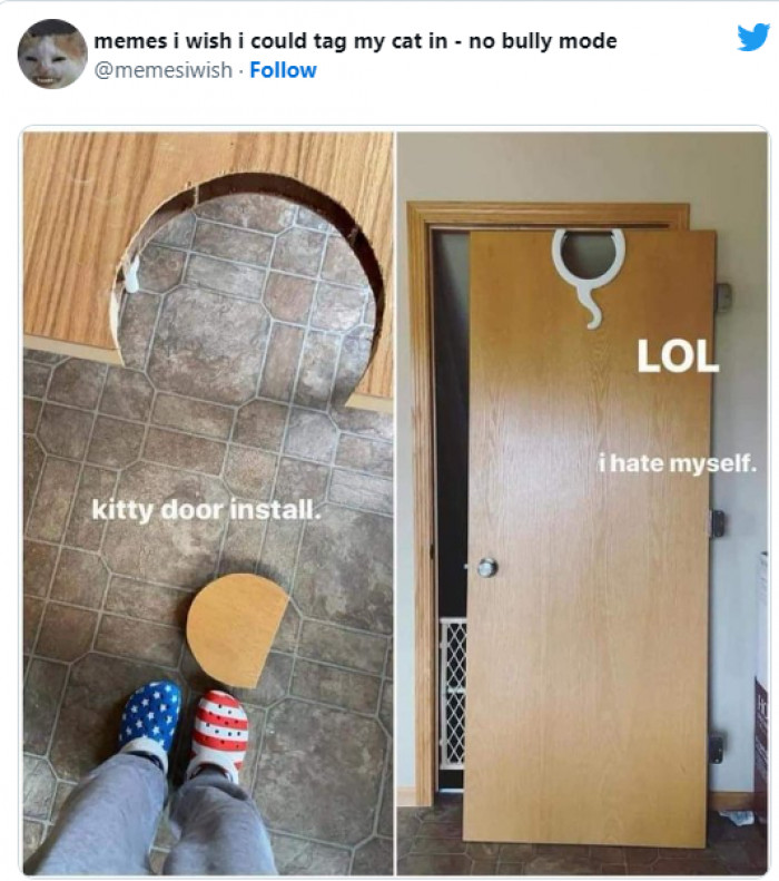 5. Fail. Or is it? Maybe the cat will simply find it fun.