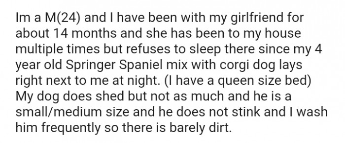 The OP's 4-year-old Springer Spaniel mix with corgi lays right next to him each night