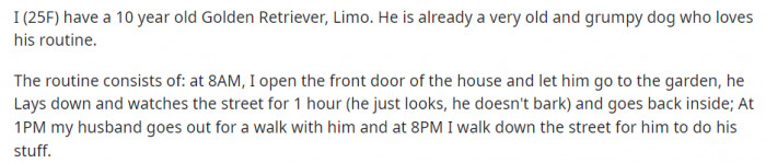 Limo is a simple dog with a simple routine. He just wants to relax in his garden and go for a couple of walks.