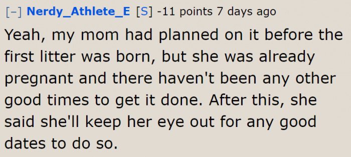 According to the OP, they couldn't find the right time to get the dog neutered.