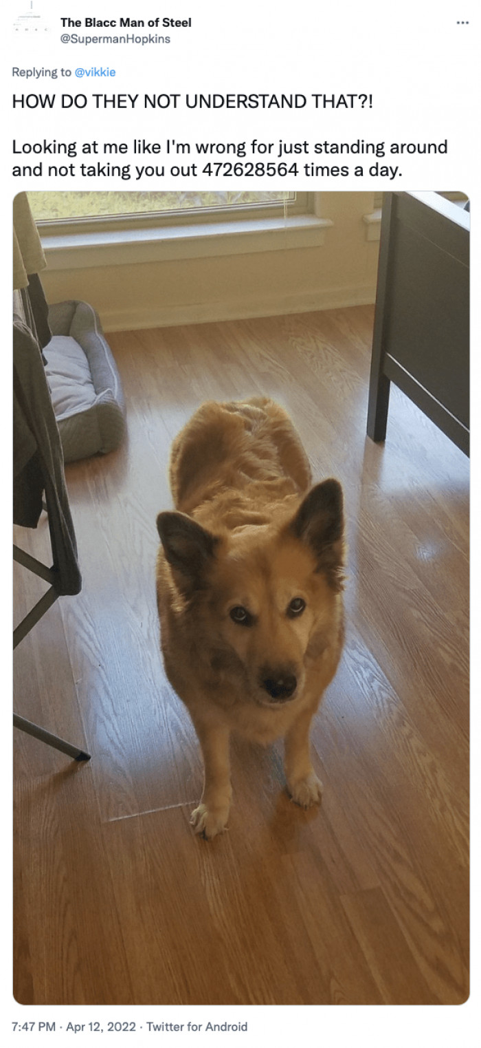 7. How do they not understand?