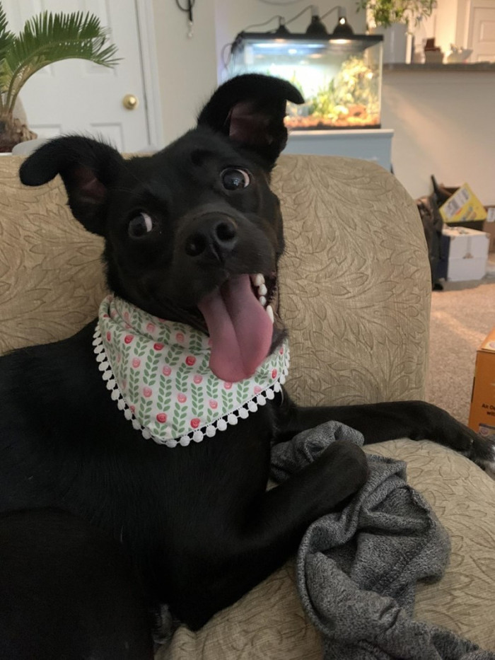 Here is Asker again, and she says bye...