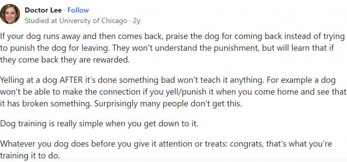 Praise the dog for coming back