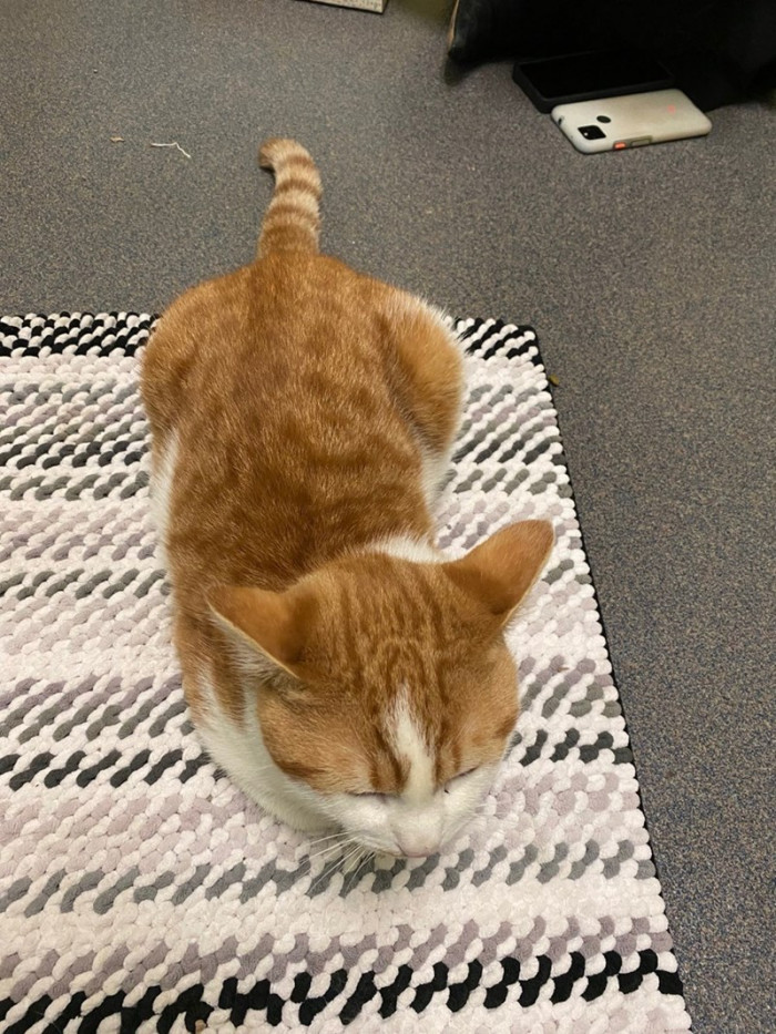 Visitors were always taken by Wild Bill's friendly nature