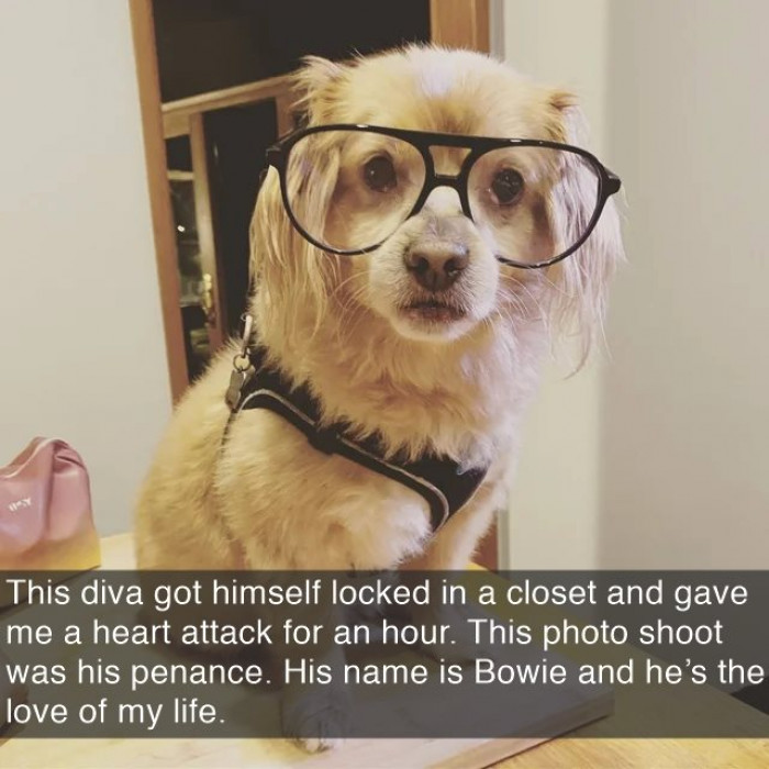 5. This cutie is ready to head to the office