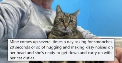 14 Short Yet Sweet Cat Stories That Will Fill Your Heart With Warmth
