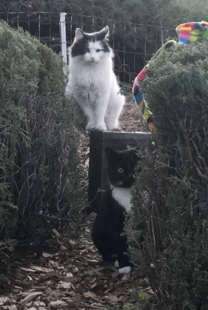 He met Eddie, who brought him to meet his family. But Eddie died, and Maurice disappeared for a while.