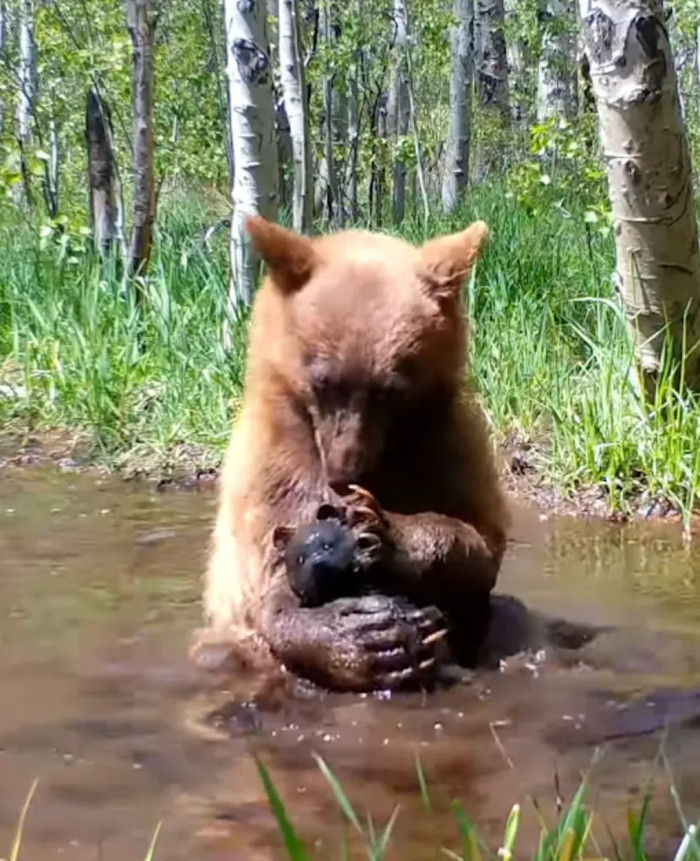 Enjoying Some Quality Time with His Teddy
