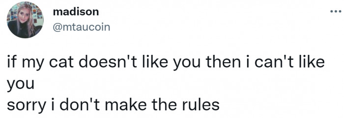 20. The cat is the head of the house.