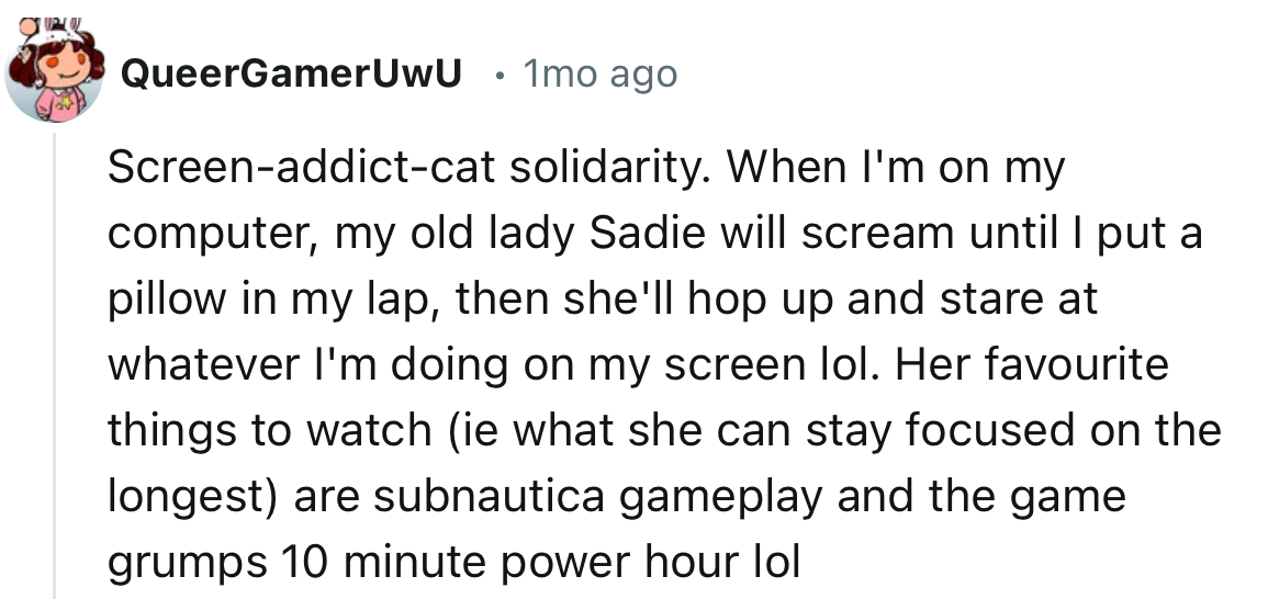 “When I'm on my computer, my old lady Sadie will scream until I put a pillow in my lap, then she'll hop up and stare at whatever I'm doing on my screen lol.”