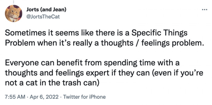 Jorts encourages owners to try and understand their rescues with an expert’s help to see where their actions stem from.