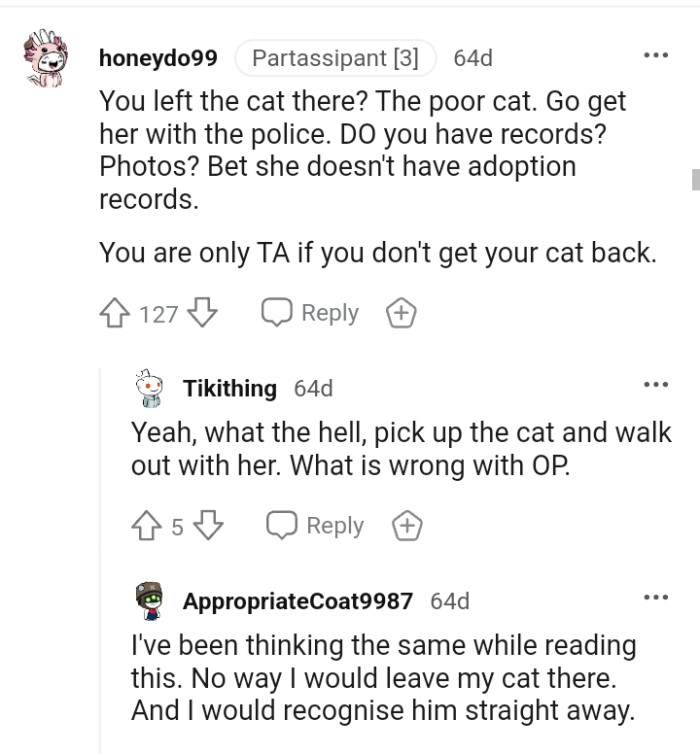 The OP will be the AH if she doesn't get her cat back