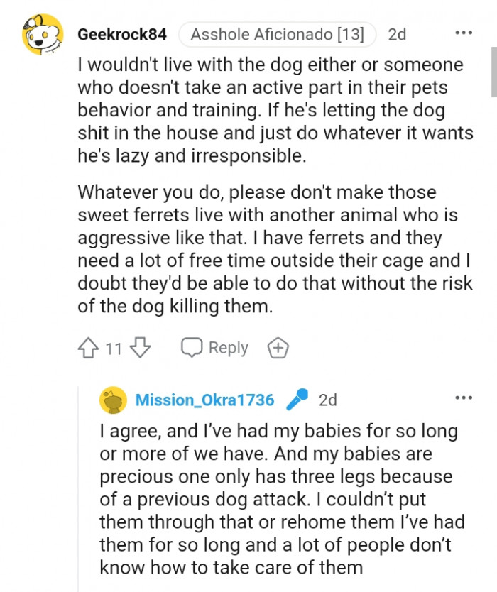 Please don't make sweet ferrets live with an aggressive animal.