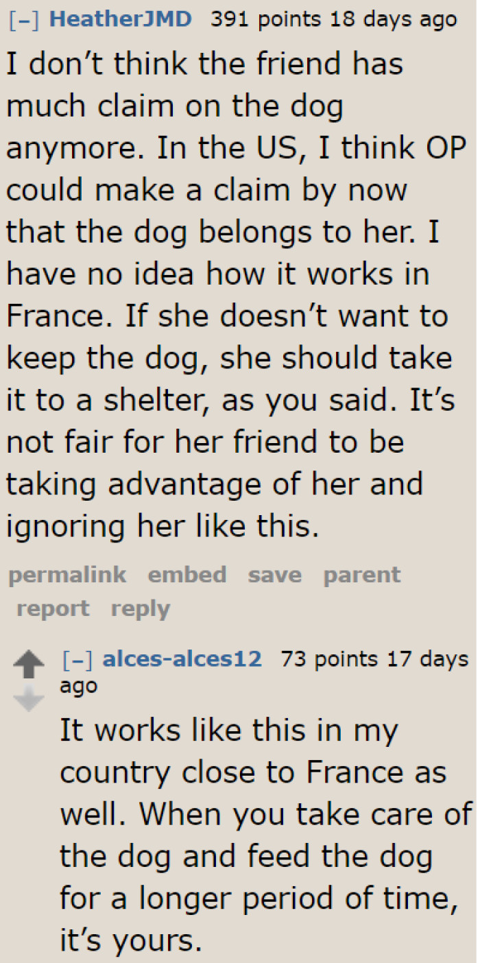 In some places, the OP can already claim the dog as theirs, because they've been taking care of it for the past seven months.