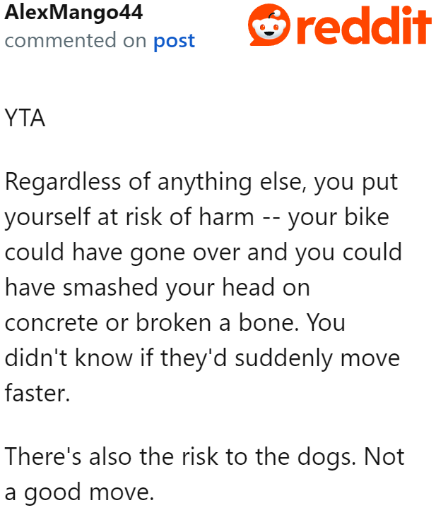 The OP doesn't realize that they not only risked themselves but also the dogs and their owner.