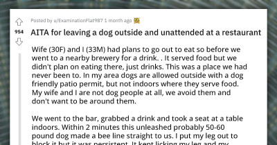 Redditor Takes Unattended Dog That Kept Licking Them Out Of The Restaurant, Gets Yelled At By The Owner Later