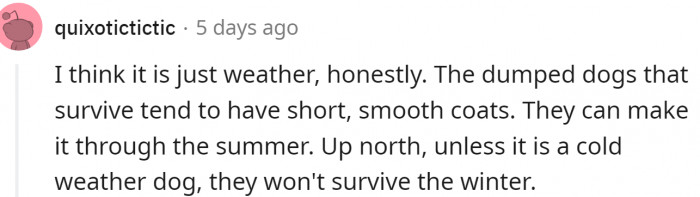 Maybe it is the weather