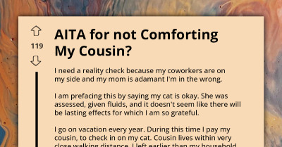 Cat Owner Furious Over Cousin's Poor Cat-Sitting, But Mom Insists She Apologize For Overreacting