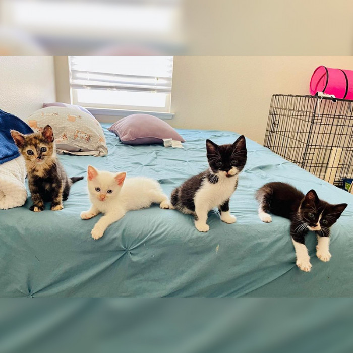 We Finally Have Names!