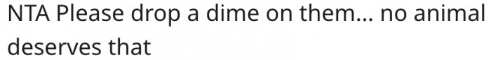 6. No animal deserves to be maltreated.